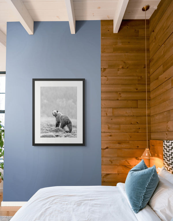 Framed picture of a bear on a blue wall next to a bed with wooden paneling.