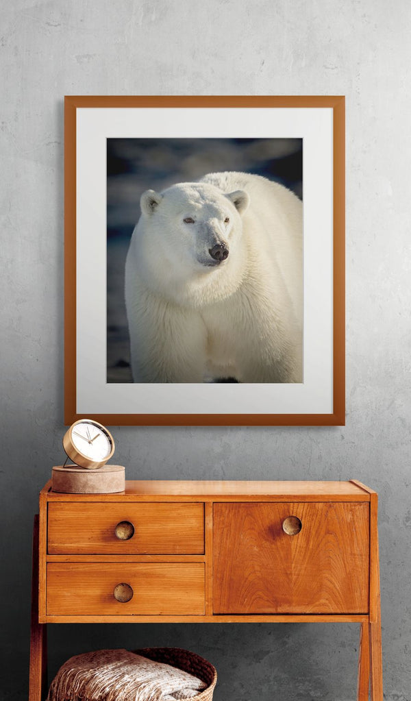 Framed photograph of a polar bear on a wall above a wooden cabinet.