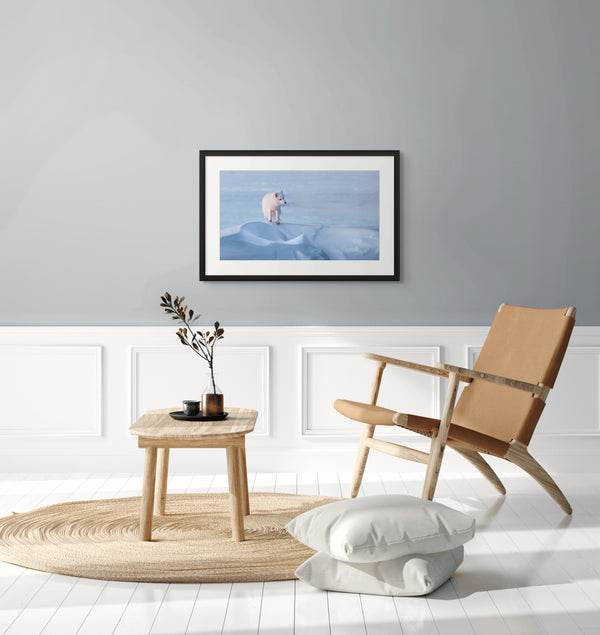 Arctic Wind Photographic Print in Living Room 