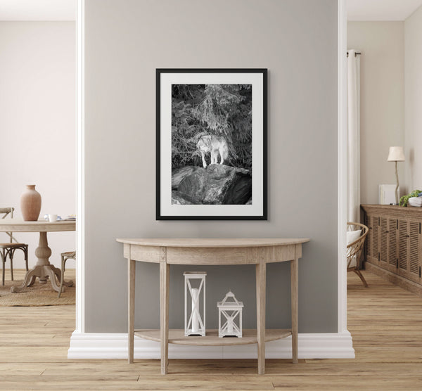 Framed black and white artwork of a wolf on a rock wall above a wooden console table.
