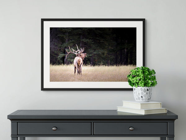 Framed photograph of a deer in a field on a wall above a black console table with books and a plant.
