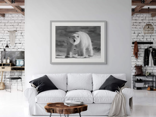 Framed picture of a polar bear on a wall above a white sofa in a living room.