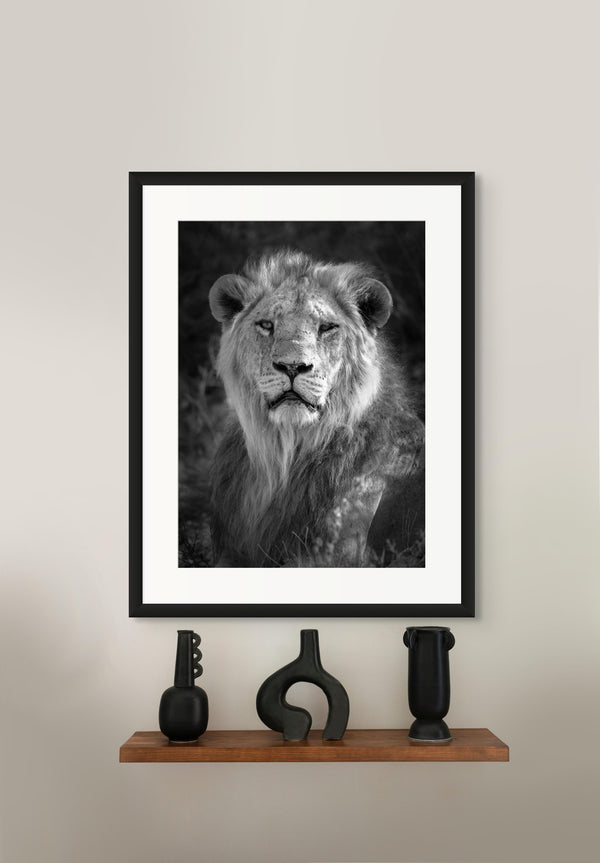 Framed black and white lion portrait on a wall above a wooden shelf with decorative vases.