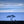 Two antelope standing under a single tree against a blue sky with a large cloud formation.