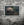Mystical Forest - Grizzly Bear