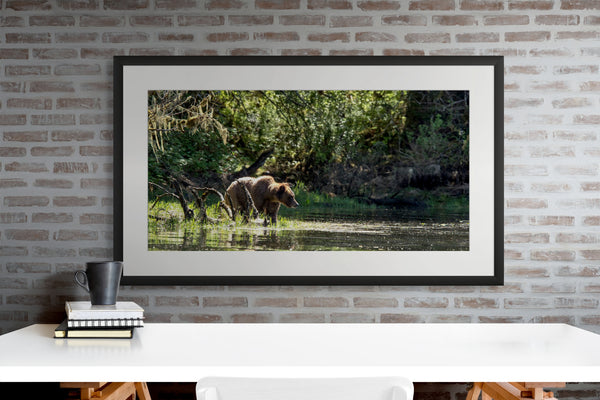 Framed photograph of a bear in a natural setting on a brick wall.