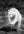 Photographic portrait of a rare Spirit Bear in British Columbia Canada