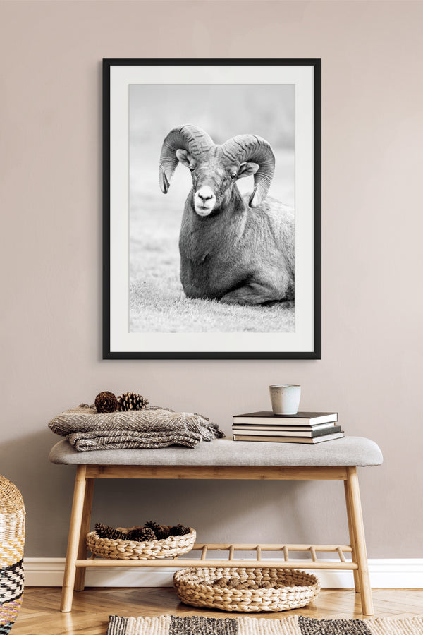 Framed black and white photo of a ram on a wall above a wooden bench with decor items.